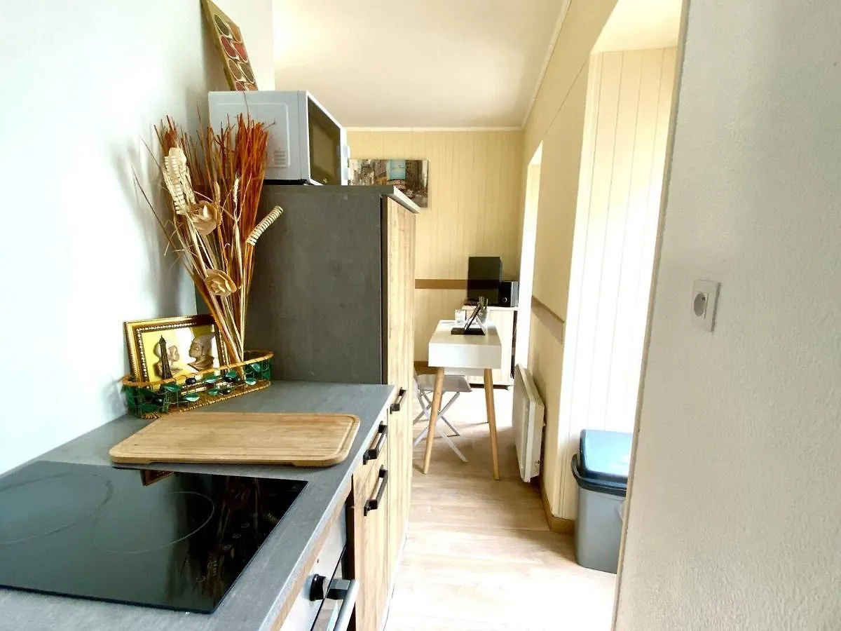 Toute La Loc Bel Appartement Lumineux Halte Du Bout Du Monde - Brest